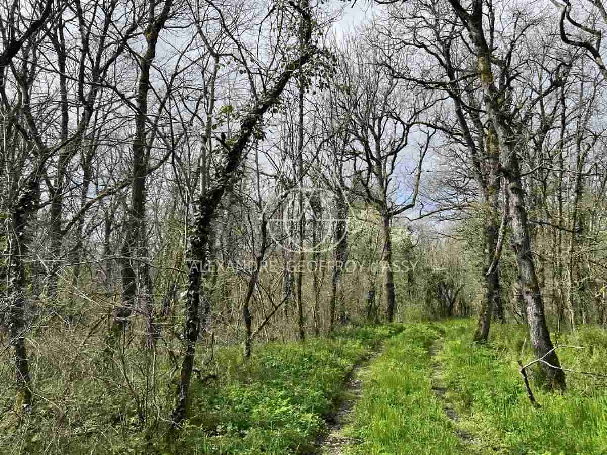 Château 1890 dans la Vienne avec nombreuses dépendances et box à chevaux sur 25 hectares