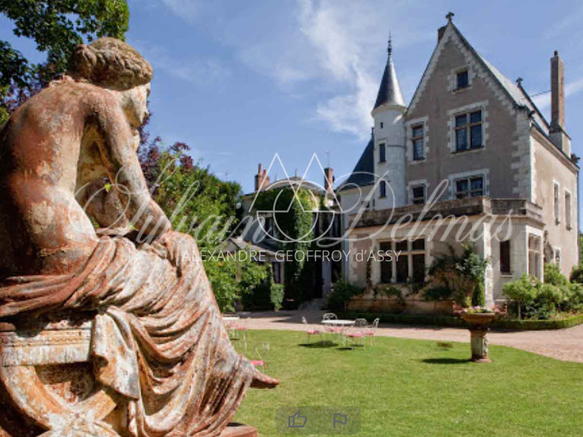 Chateau - 15 pièces - 790m²