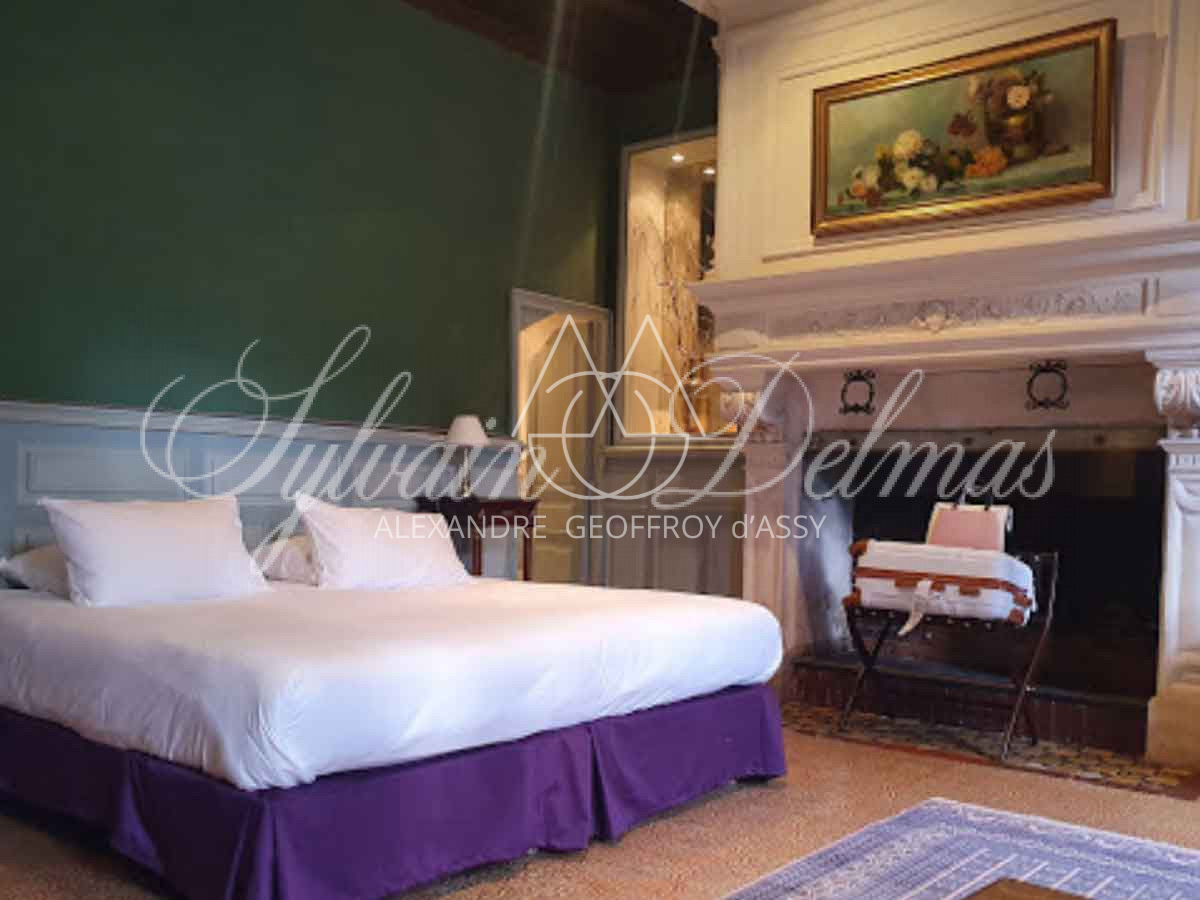 Chateau - 15 pièces - 790m²
