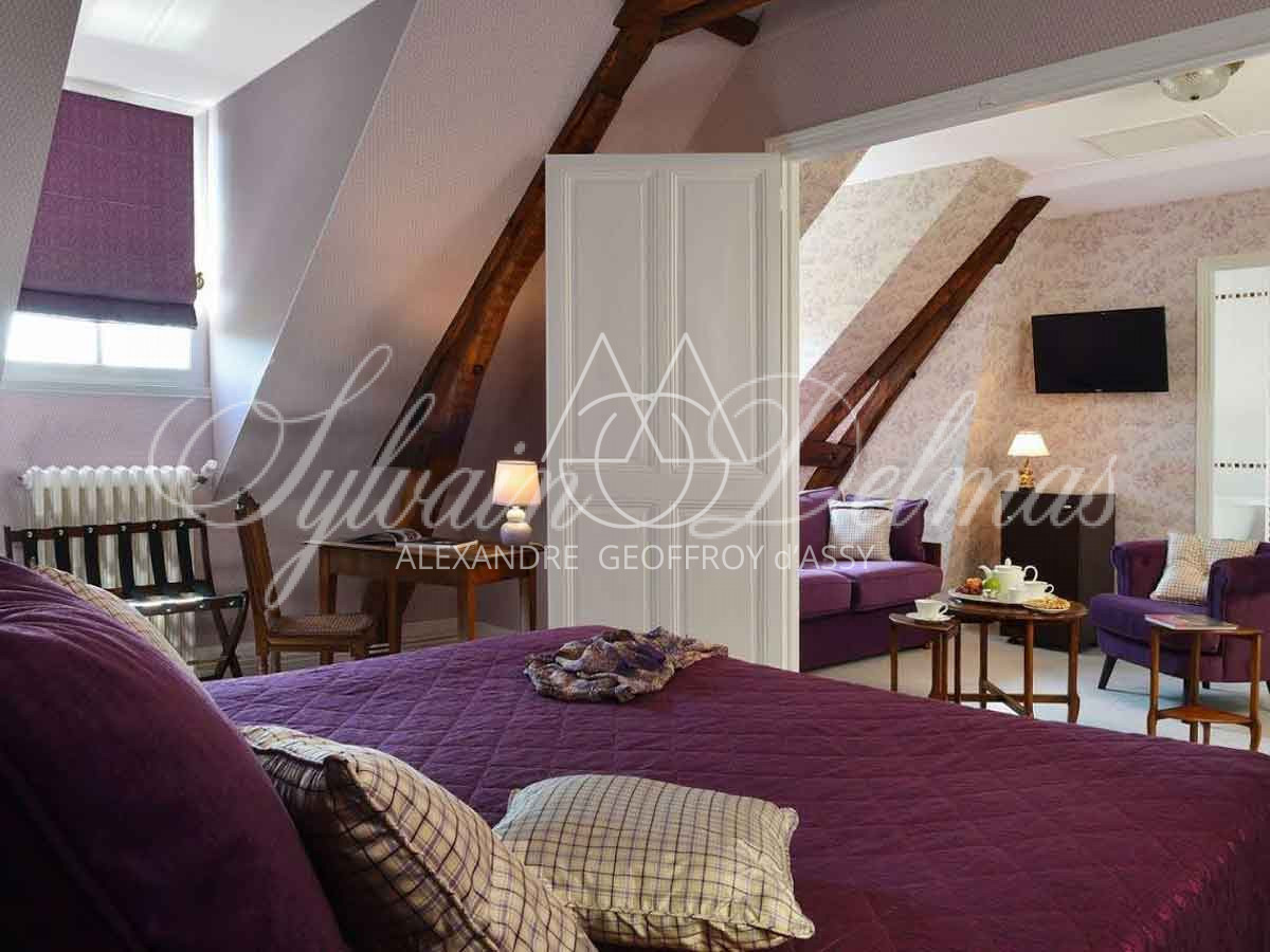 Chateau - 15 pièces - 790m²