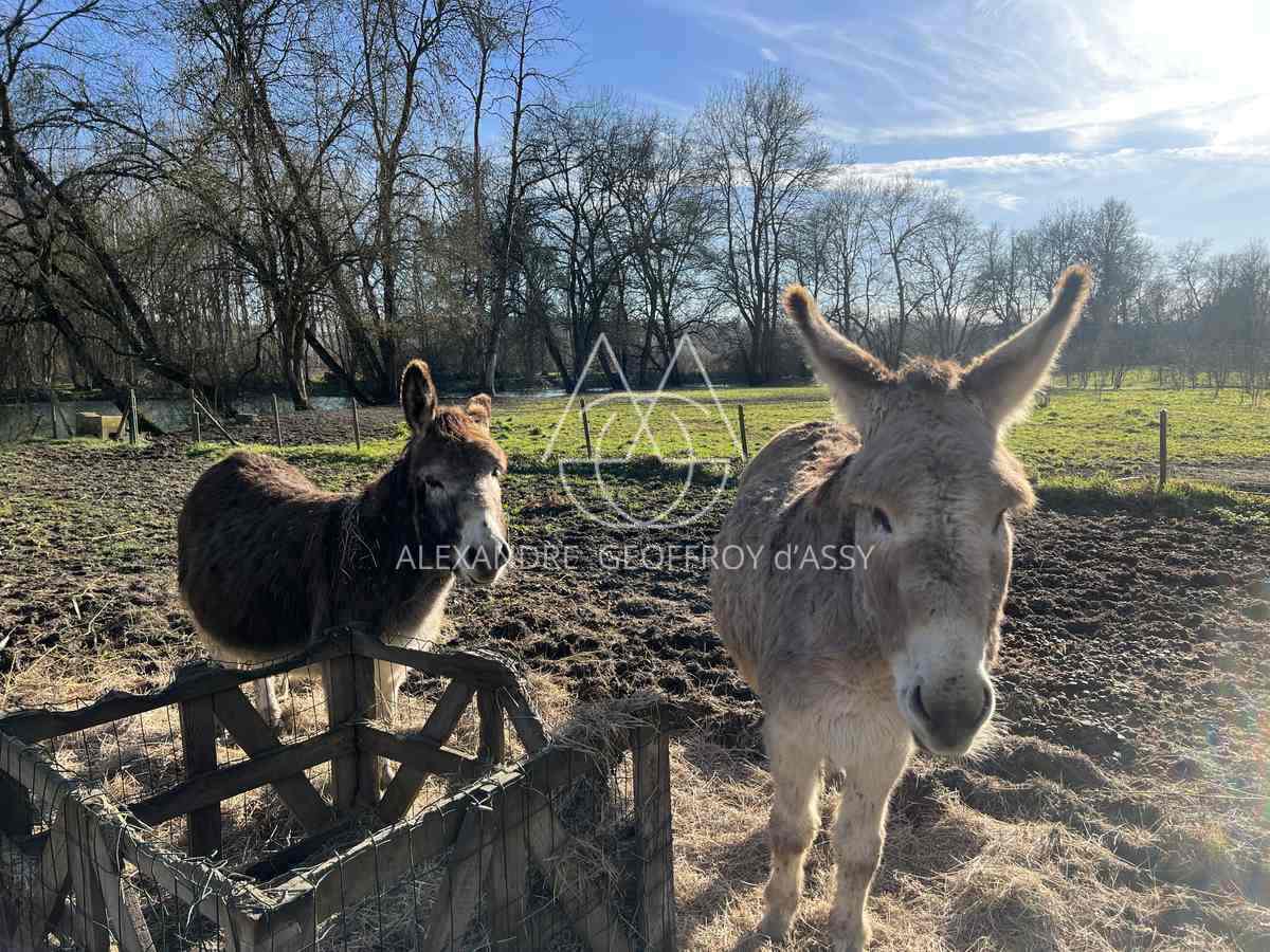 EXTRAORDINAIRE MOULIN DU XIX° 700M² HAB. sur 1.4 Hectares en bord de rivière.