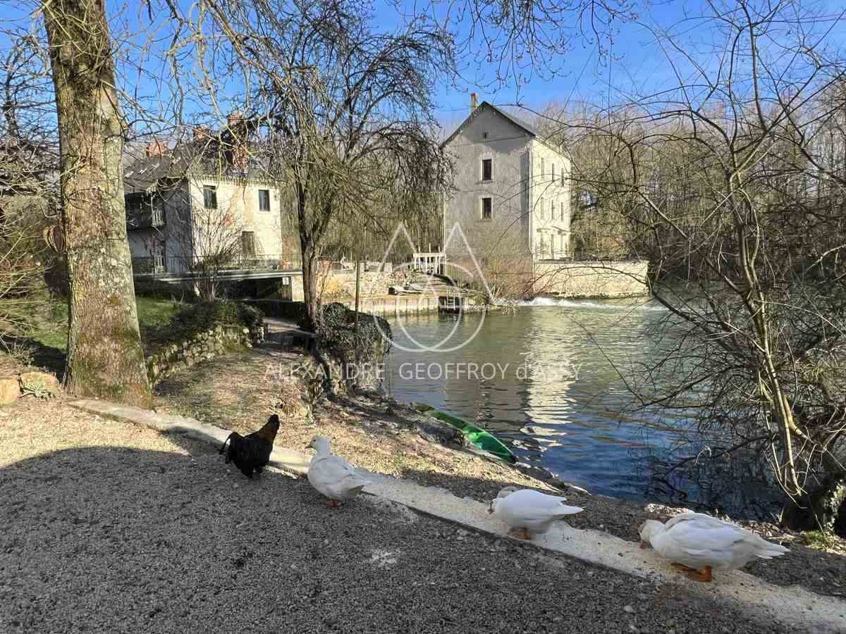 EXTRAORDINAIRE MOULIN DU XIX° 700M² HAB. sur 1.4 Hectares en bord de rivière.