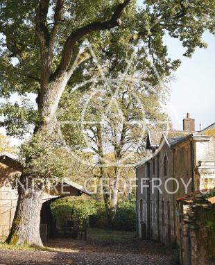 AUTHENTIQUE ORANGERIE DU XVIII ÉME SIÈCLE AUX PORTES DE NANTES