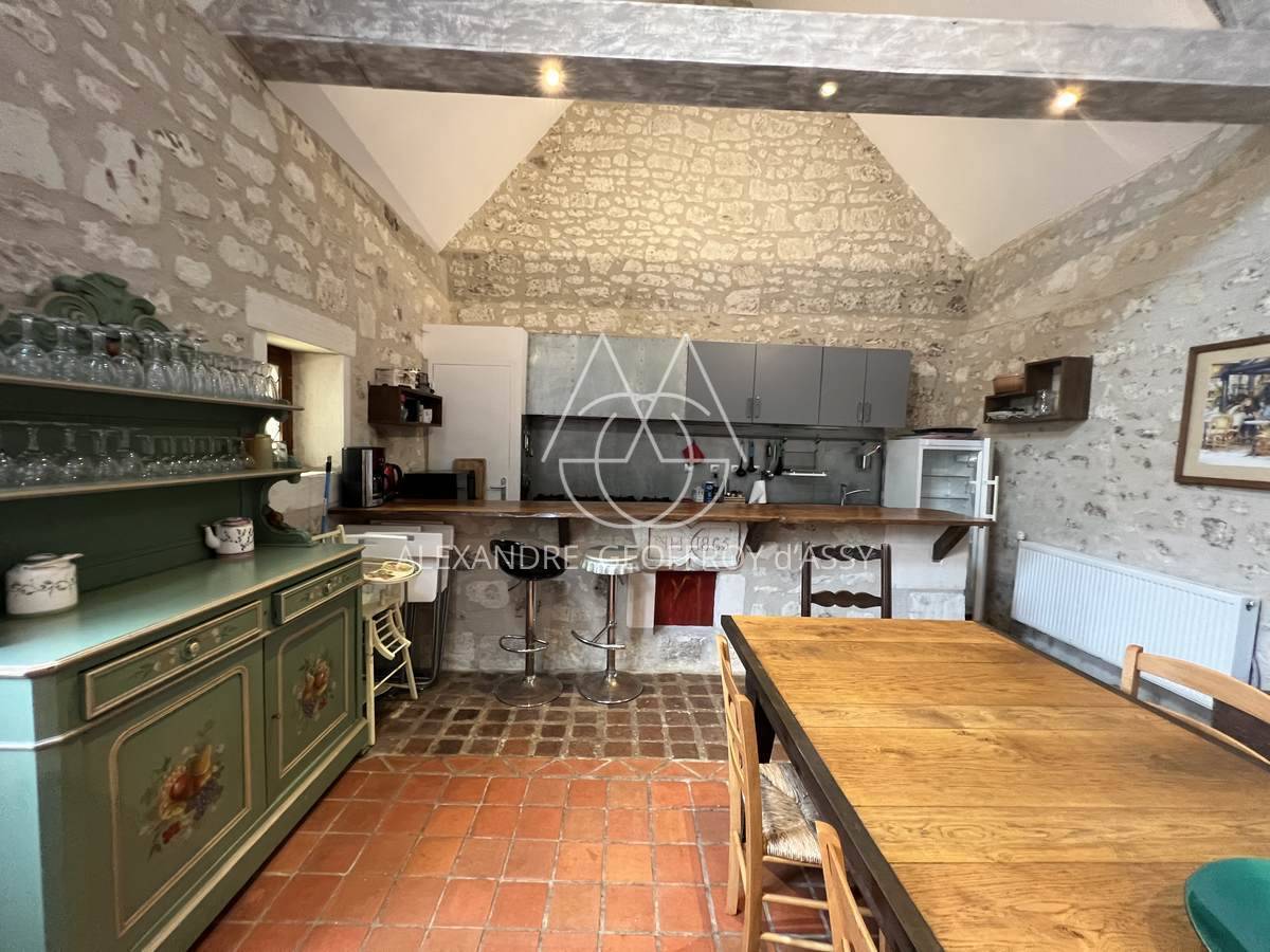 Sublime demeure du XVII et XVIII° entre Chinon et Tours en plein cœur d'une zone touristique et viticole.