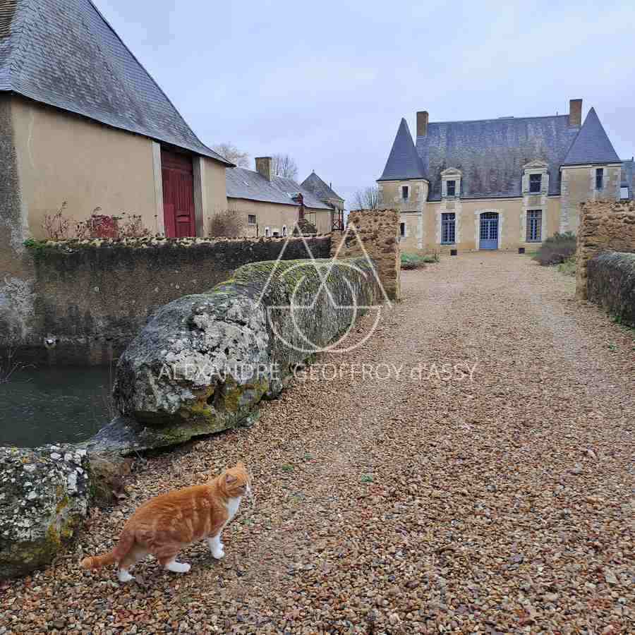 A vendre authentique château du XVI et XVIIIème