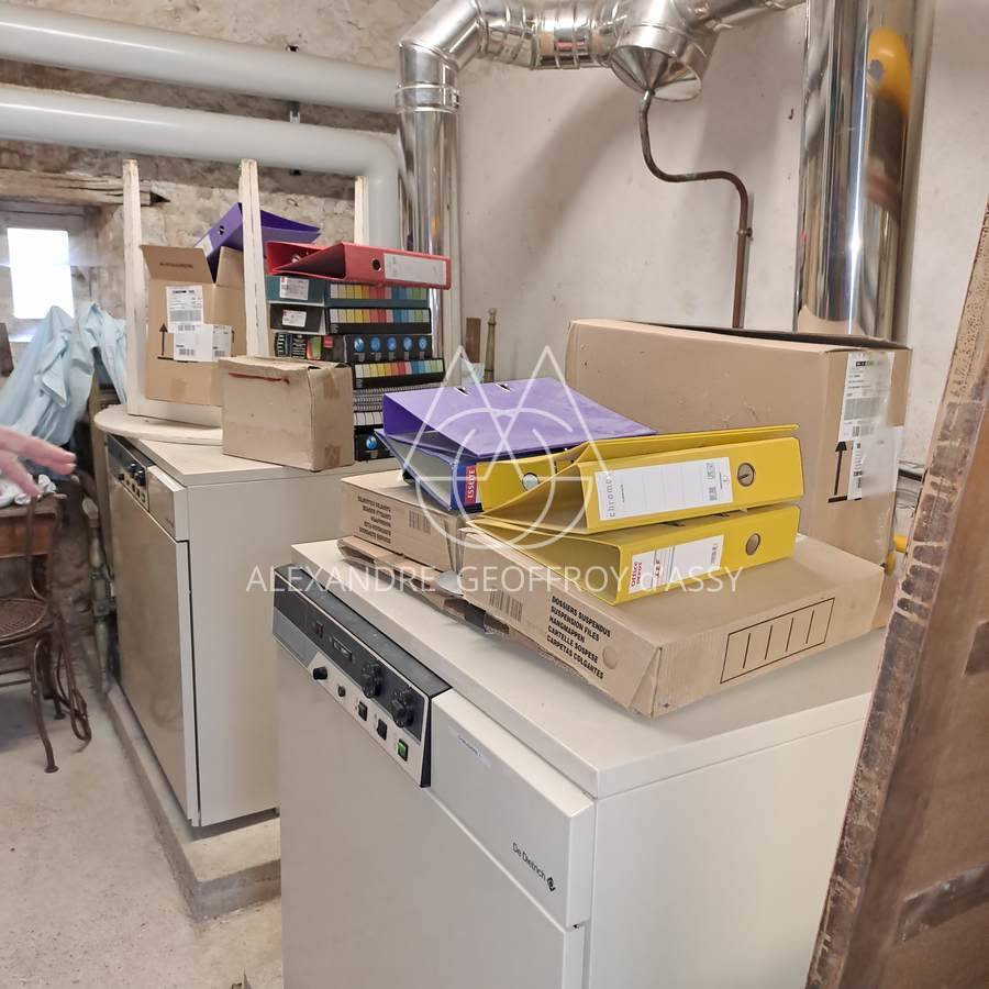 A vendre authentique château du XVI et XVIIIème