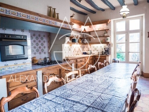 Château XVIIIème 31 hectares à 1h30 de Paris, 40 KM du Mans de Tours et de Vendôme 