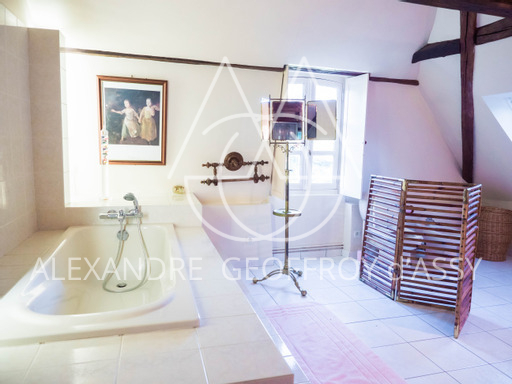 Château XVIIIème 31 hectares à 1h30 de Paris, 40 KM du Mans de Tours et de Vendôme 