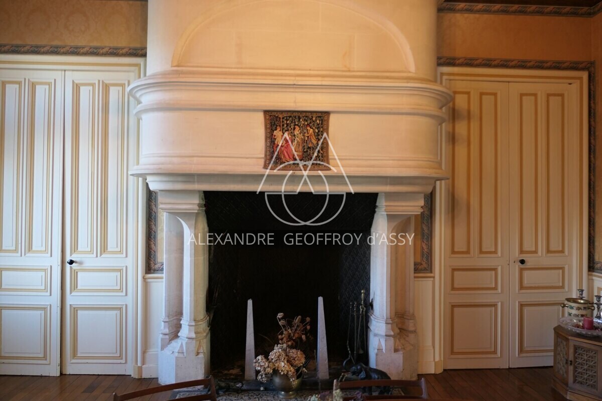 Charmant petit château surplombant la rivière au coeur la Brenne