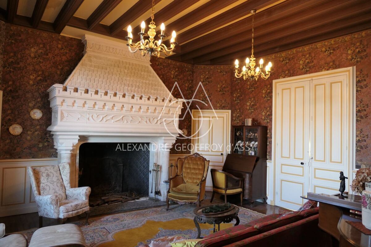 Charmant petit château surplombant la rivière au coeur la Brenne