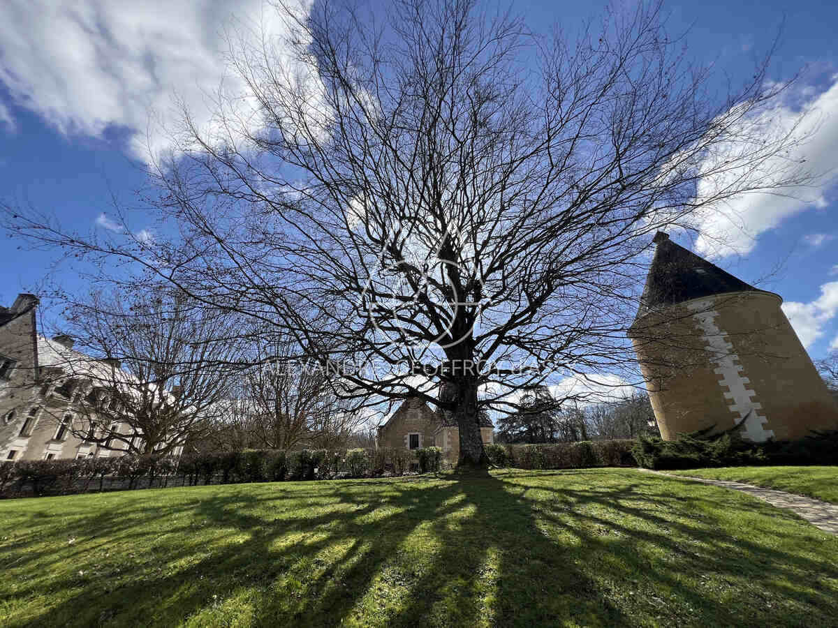 A vendre fabuleux Château Renaissance sur un domaine de 26 hectares