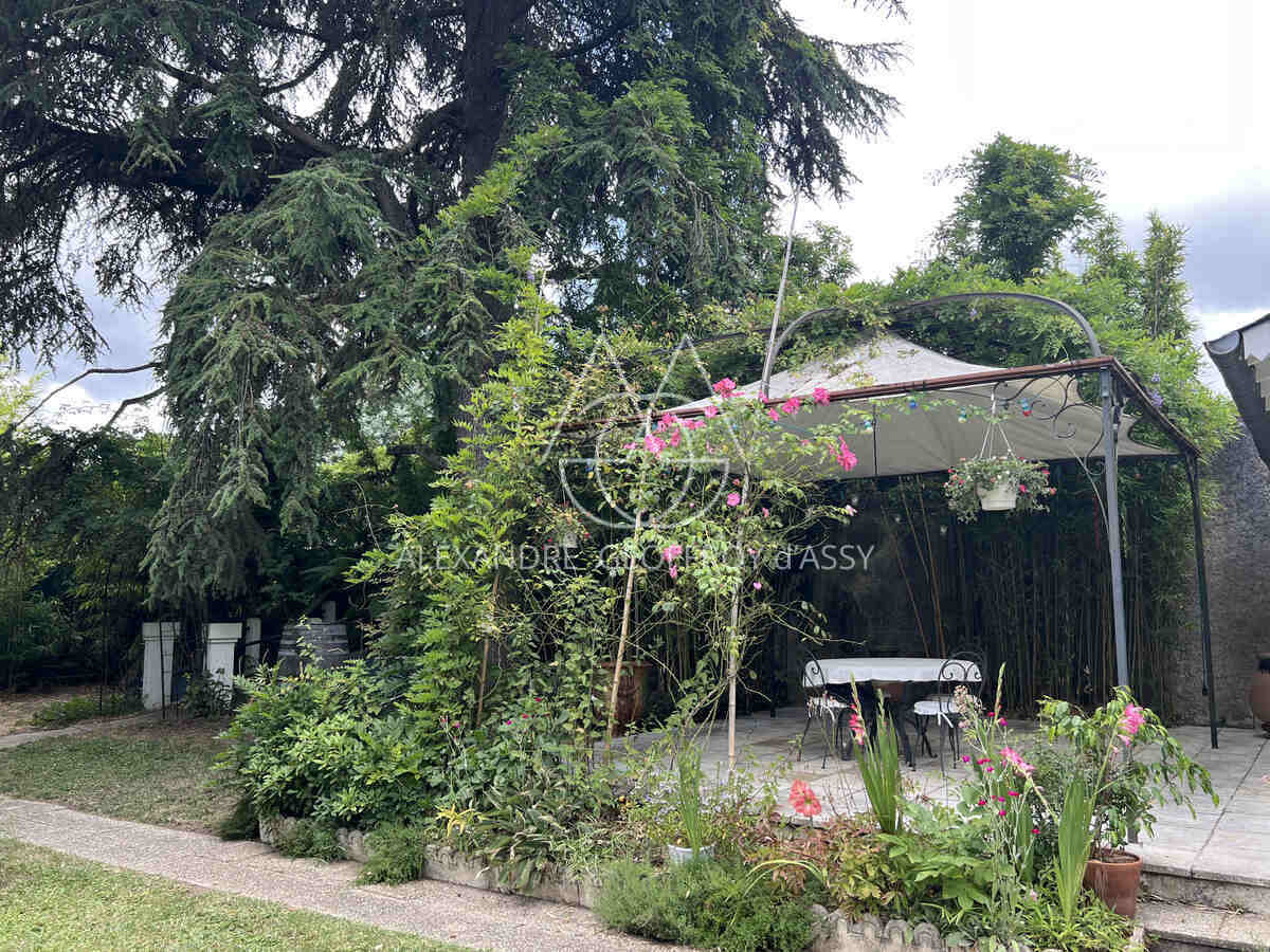 Saint Cyr sur LOIRE à 5 minutes du centre de TOURS maison XIXème 220 M2 avec jardin et garage