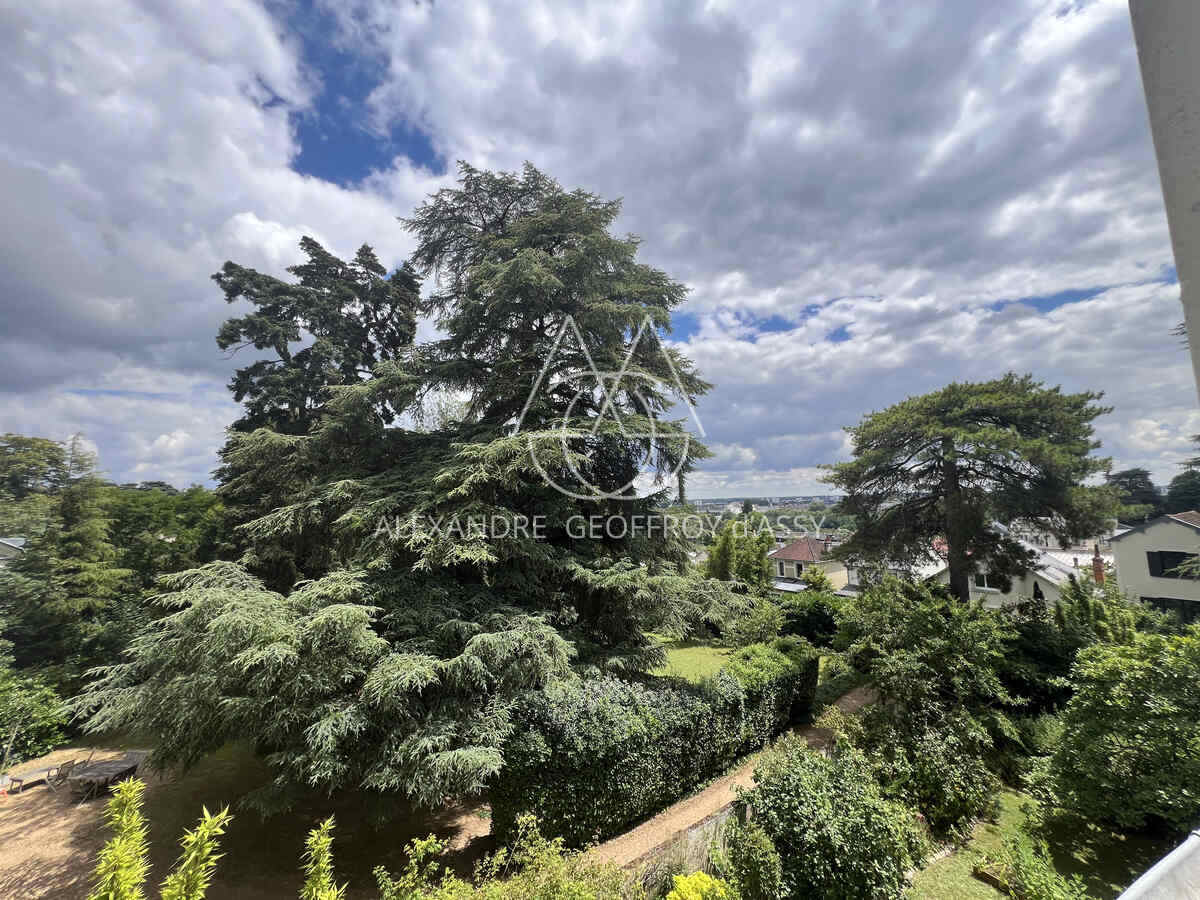 Saint Cyr sur LOIRE à 5 minutes du centre de TOURS maison XIXème 220 M2 avec jardin et garage