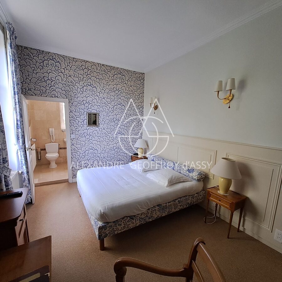 Magnifique château hôtel du XIX -ème restauré proche de Blois et Chaumont sur un parc de 3,5ha.