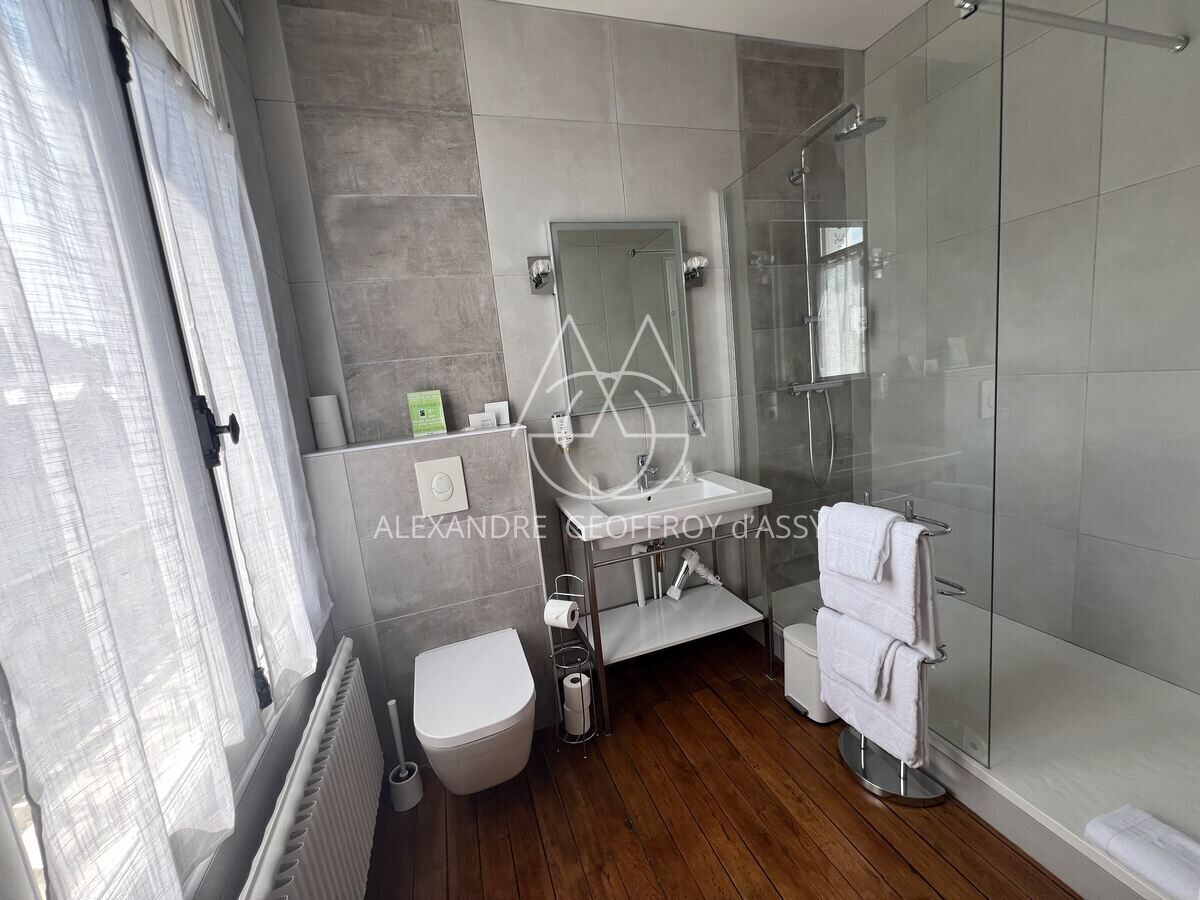 MANOIR PLEIN CENTRE D'AMBOISE avec un gros potentiel d'hébergements touristiques