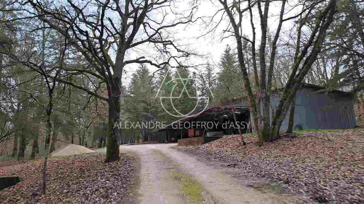 SUBLIME PROPRIETE DE CHASSE DE 230 HA. AU COEUR DE LA SOLOGNE