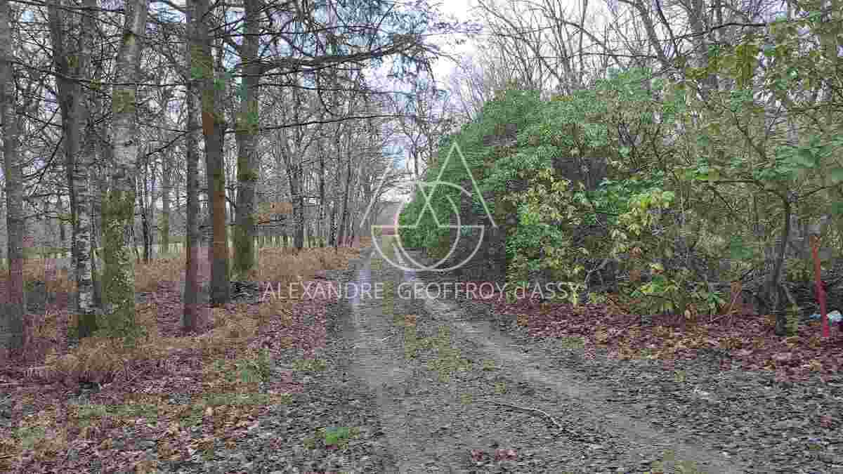 SUBLIME PROPRIETE DE CHASSE DE 230 HA. AU COEUR DE LA SOLOGNE