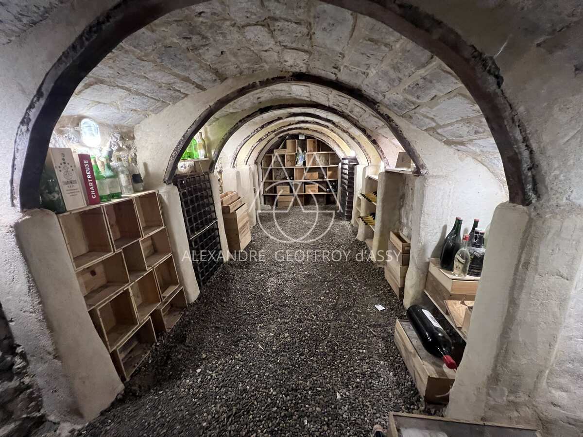 Maison XIX ème en tuffeaux quartier cathédrale Tours 240 M2