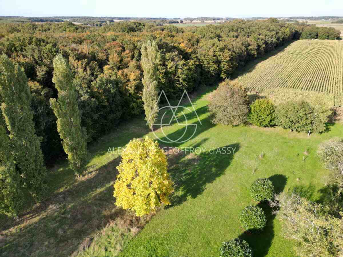 AUTHENTIQUE MANOIR DU XV et XVIIIème à 15 min de TOURS avec 90 hectares d'un seul tenant.
