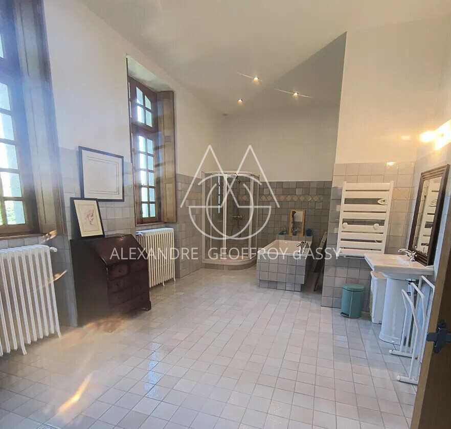 Château du XVII eme situe à 25 min de Limoges sur a magnifique plan d'eau et un parc de 27ha