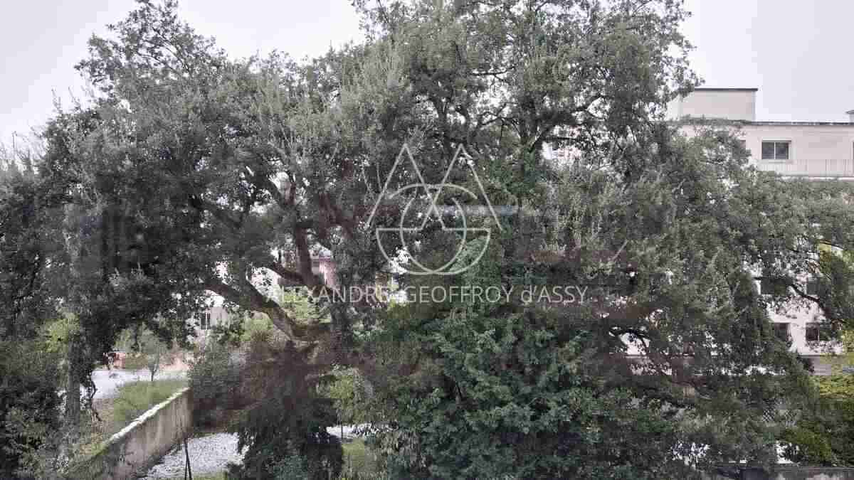 Superbe appartement de 150m2 ultra lumineux aux jardin des Prébendes à Tours