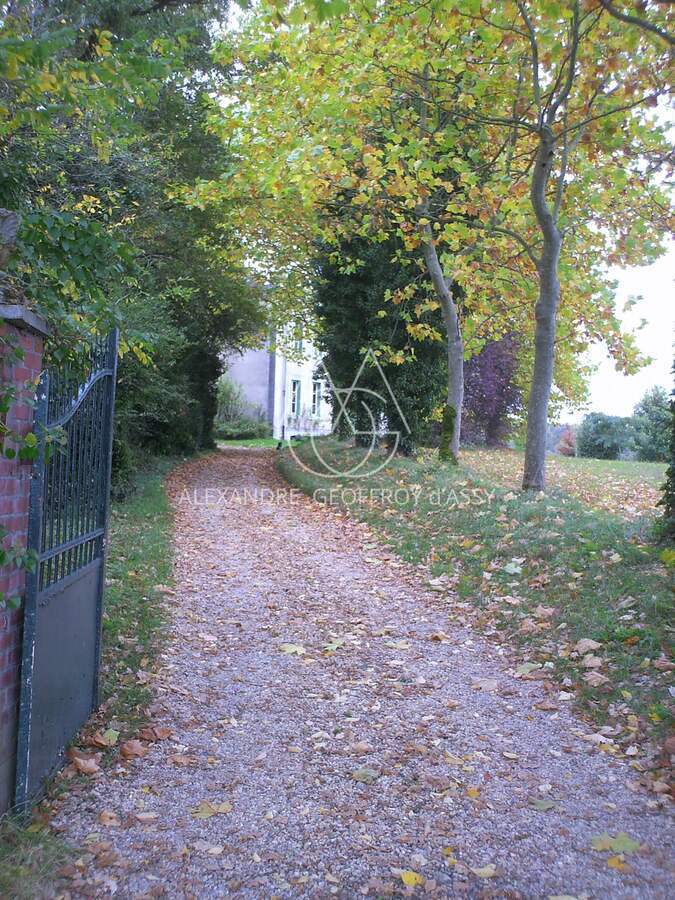 Château en Charente, 1,2 hectare, Piscine, Environnement paisible - Confolens 