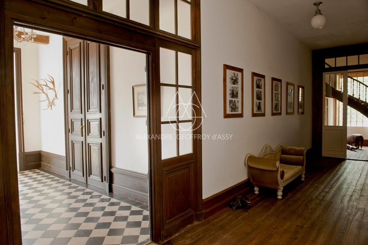 Château en Charente, 1,2 hectare, Piscine, Environnement paisible - Confolens 