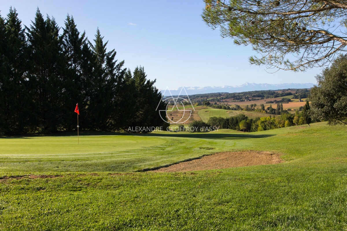 CHATEAU XVIII sur 70 ha, VUE PANORAMIQUE PYRÉNÉES