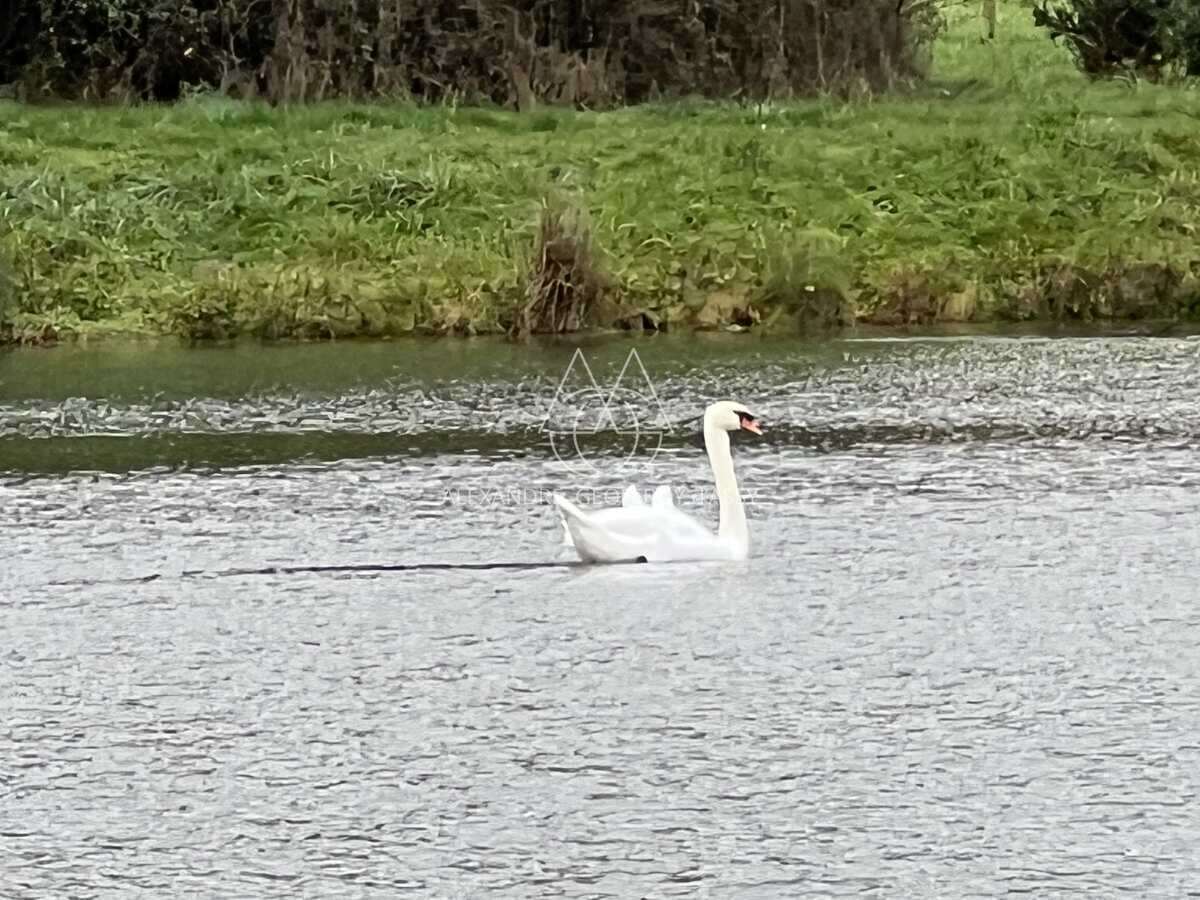 CHATEAU HOTEL ENTRE TOURS ET CHATEAUROUX