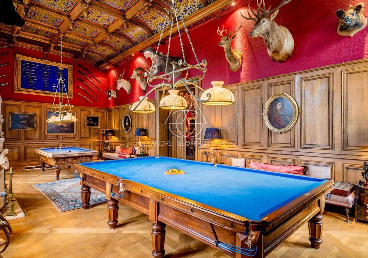 UN CHÂTEAU NÉO-GOTHIQUE ET RENAISSANCE EN SOLOGNE SUR 50 HA