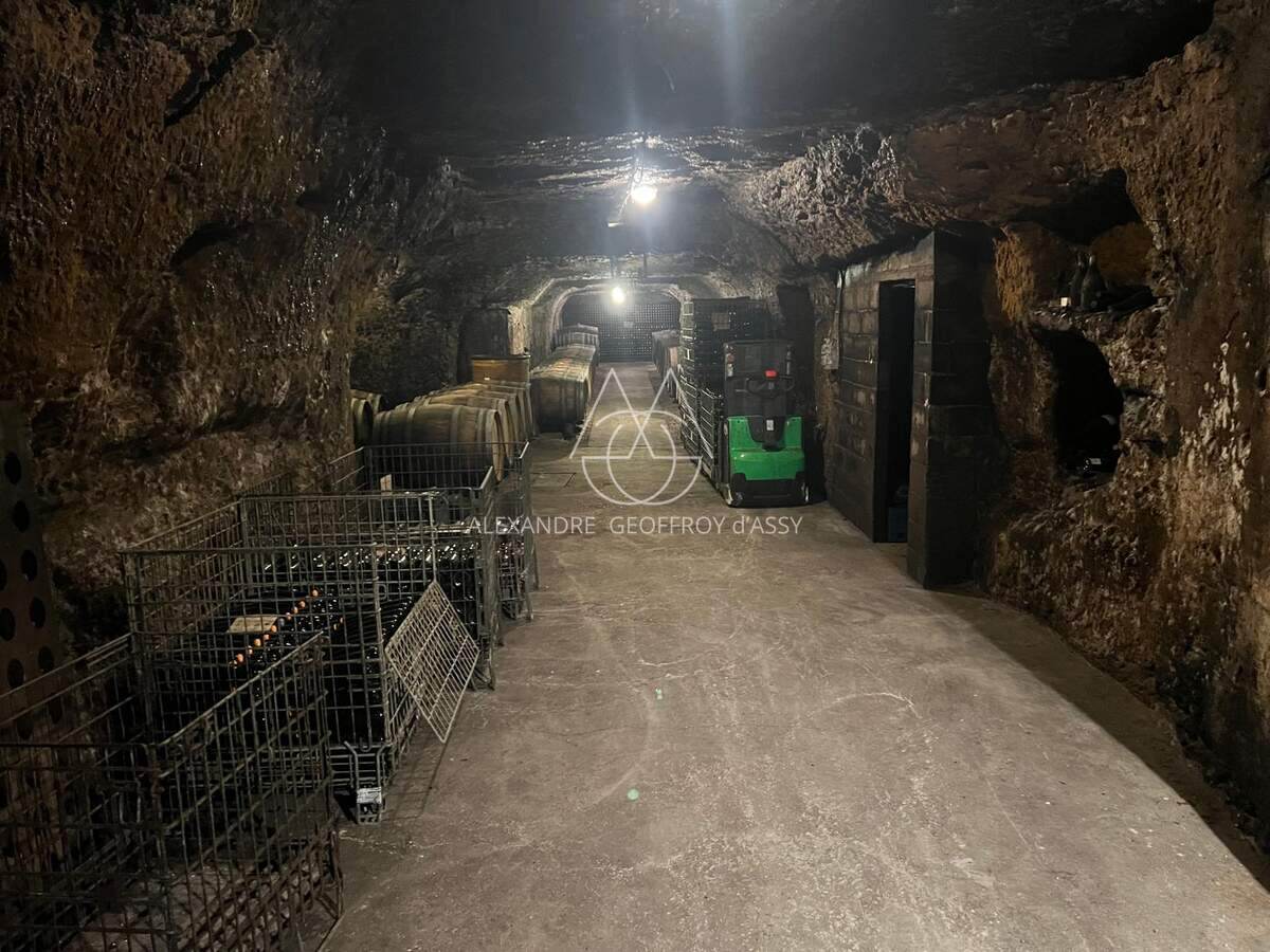 Rare opportunité… Vignoble en appellation Vouvray de 20 ha.