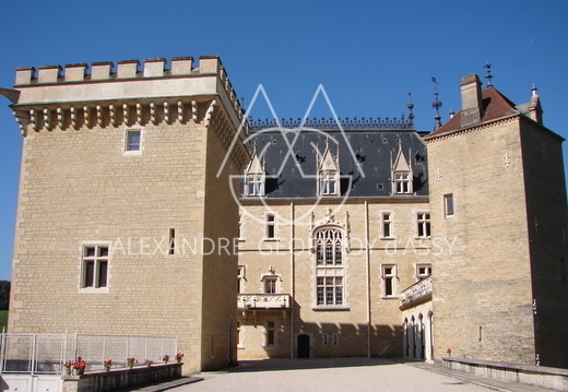 EXTRAORDINAIRE CHATEAU DU XIII ET XVIéme sur un domaine de 130 hectares