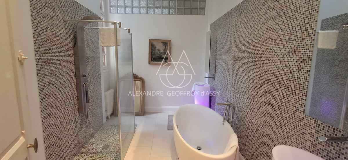 Château du XIX -ème siècle entièrement rénové aux portes de Tours. Parc de 2.7ha.