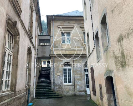Hotel, restaurant, thermes de 14000m2  avec 110 chambres.