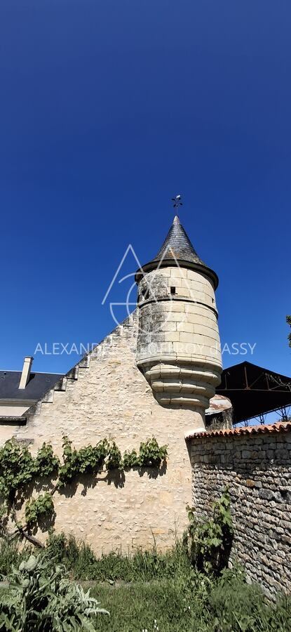 Rare propriété de 110 ha d’un seul tenant comprenant un château du XIX -ème dans un état impeccable dans un parc emmuré de 5ha.