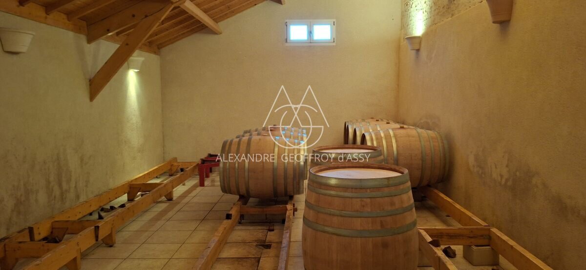 Vignoble: Appellation Chenonceau. Belle Opportunité.  Collectionneur de médailles