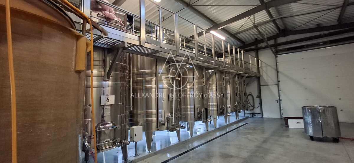 Vignoble: Appellation Chenonceau. Belle Opportunité.  Collectionneur de médailles