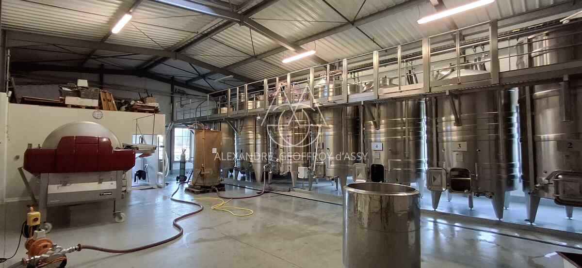 Vignoble: Appellation Chenonceau. Belle Opportunité.  Collectionneur de médailles