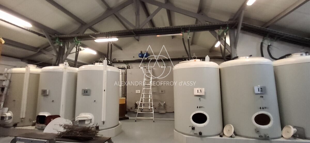 Vignoble: Appellation Chenonceau. Belle Opportunité.  Collectionneur de médailles