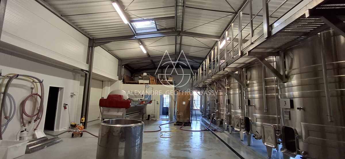 Vignoble: Appellation Chenonceau. Belle Opportunité.  Collectionneur de médailles