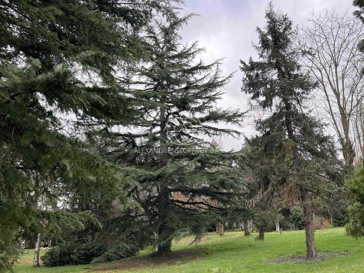 PROPRIETE SUR 1.5 HECTARES EN PERIPHERIE DE TOURS SUD