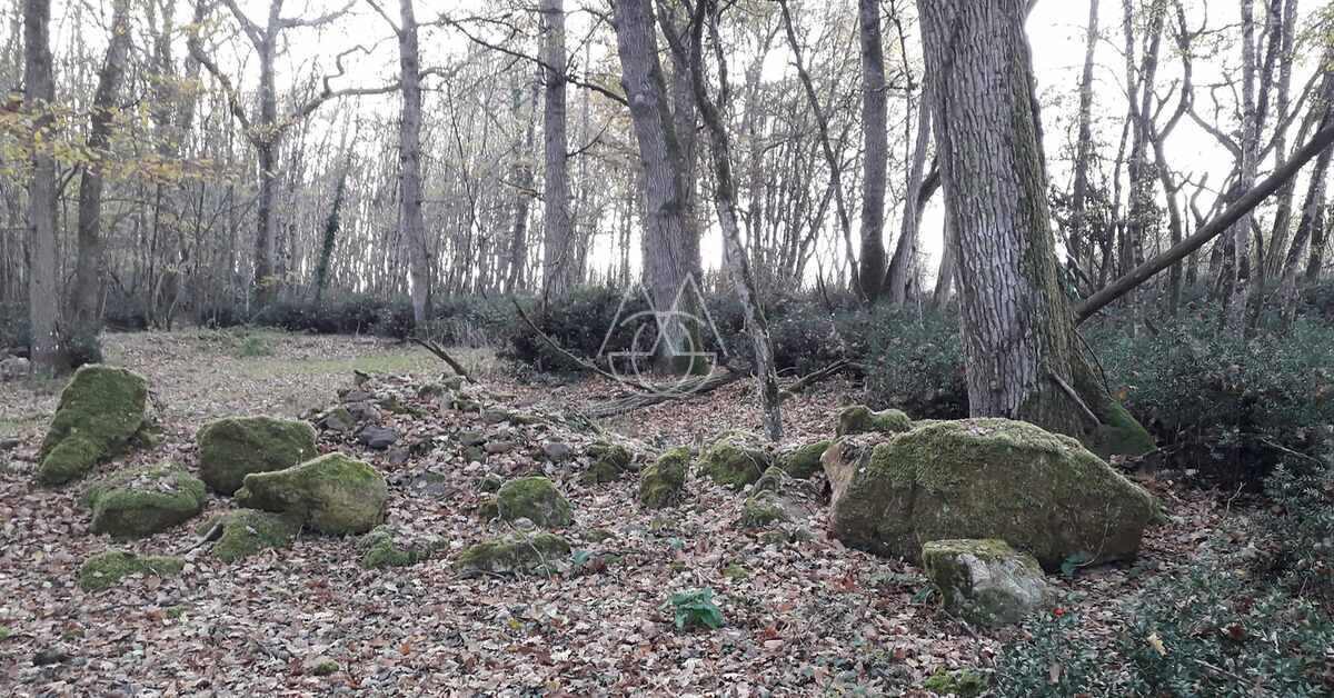 SOMPTEUX CHÂTEAU DU XV DANS UN DOMAINE FORESTIER DE 96 HECTARES