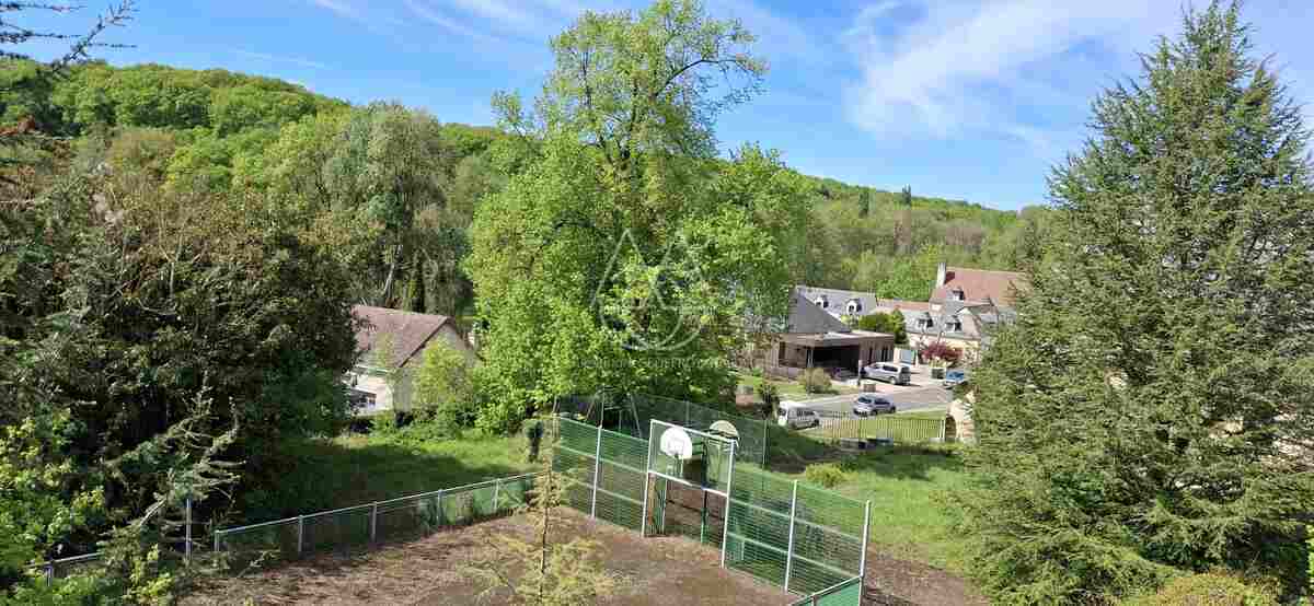 Chateau du XVII eme surplombant un petit village traversé par une petite ricviere.