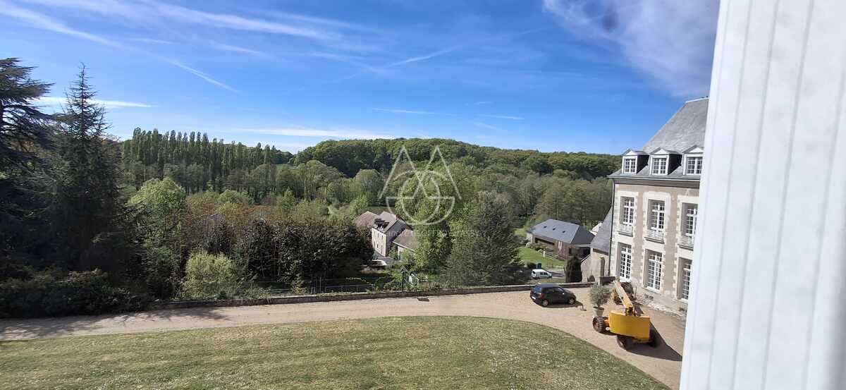 Chateau du XVII eme surplombant un petit village traversé par une petite ricviere.