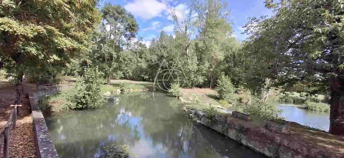 Proche Amboise Moulin du XVI eme à 20 min the Tours